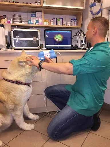 Przychodnia Weterynaryjna Retina